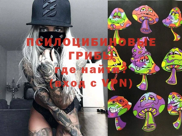 ECSTASY Алексеевка