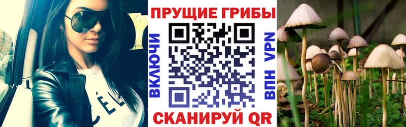 Галлюциногенные грибы мицелий дарнет шоп Каргат